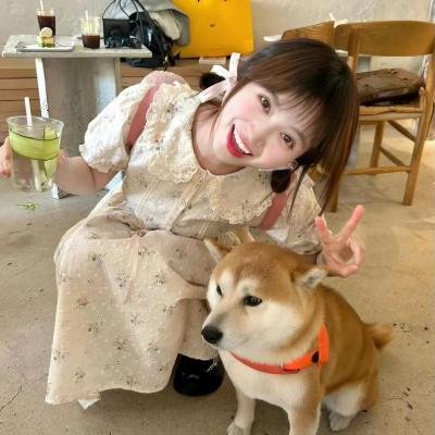 我的亲密敌人